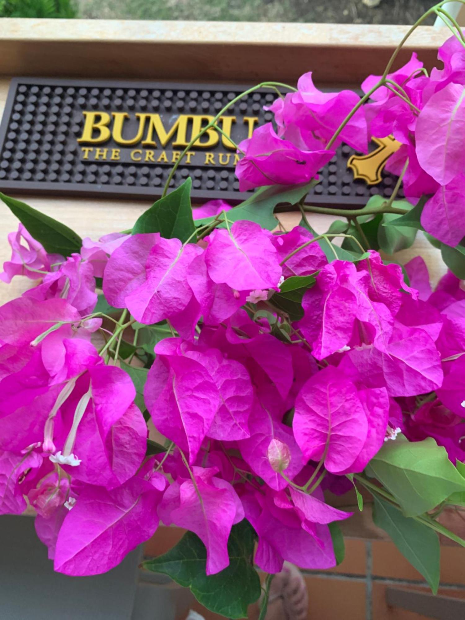 Appartement Bumbu 626 Anse Des Rochers แซงต์-ฟรองซัวส์ ภายนอก รูปภาพ
